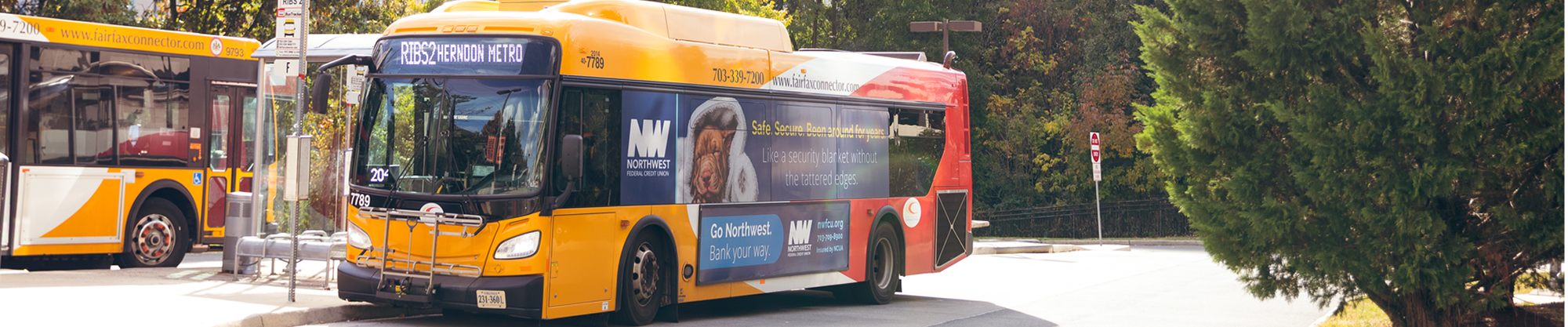 Image for Bus Rapid Transit